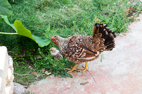 20140419_cuba-0429