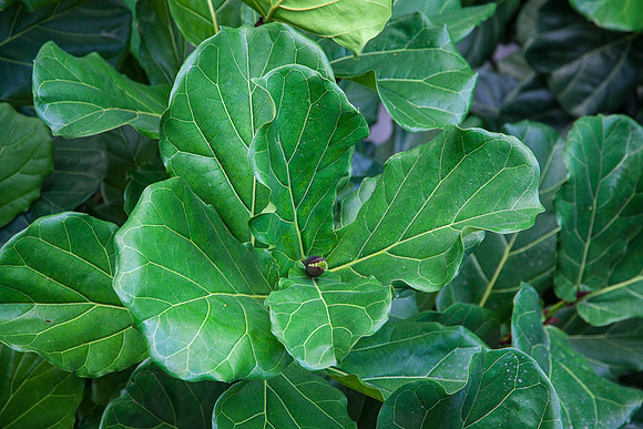 20140419+cuba_canon-9174