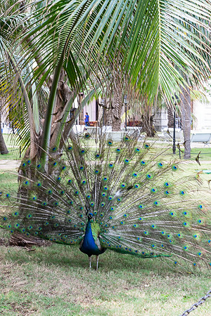 20140419_cuba-0670