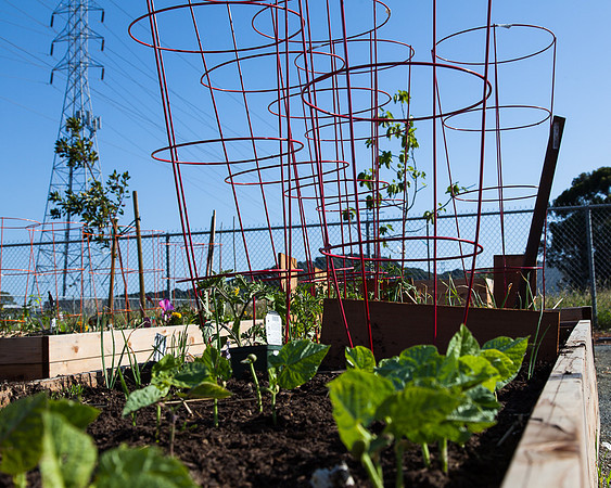 20130421canalgarden-1818