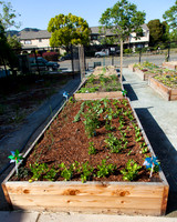 20130421canalgarden-1807