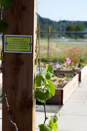 20130421canalgarden-1817
