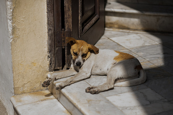 20140419_cuba-0702