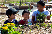 20130421canalgarden-1704