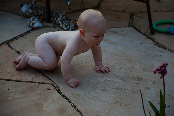 20160401_kaiden-4952