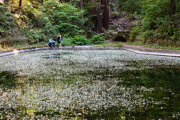 20130615_bennerdaswedding-4510