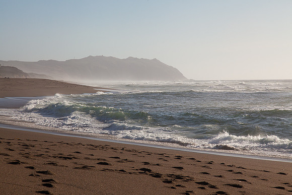 20130309ptreyes-0535