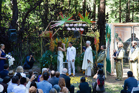 20130615bennerdaswedding-4330