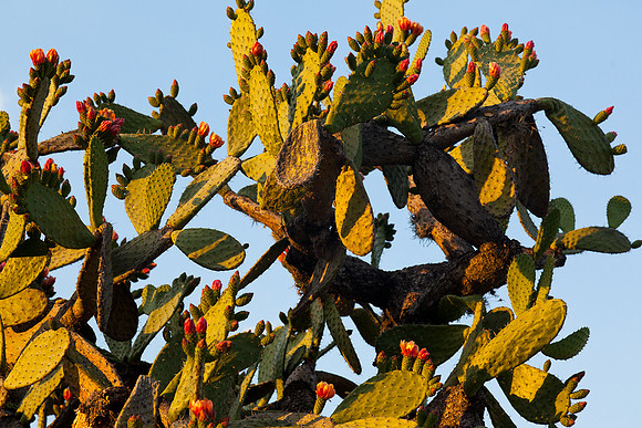 20120416_sanmiguel_1280