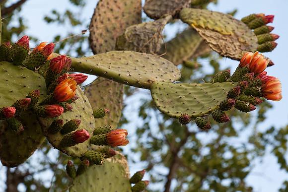 20120416_sanmiguel_1262