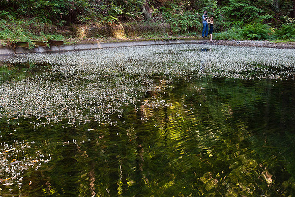 20130615_bennerdaswedding-4519