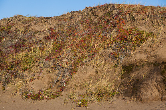 20130309ptreyes-0590