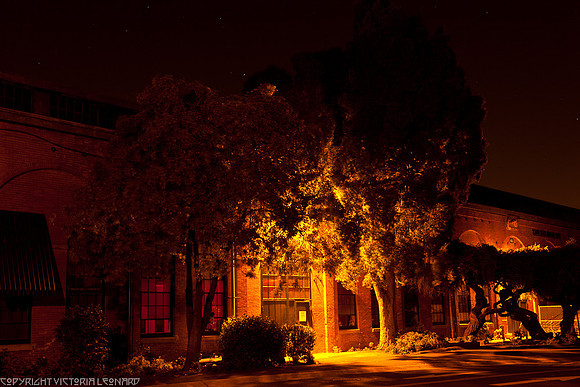 MareIsland-0135