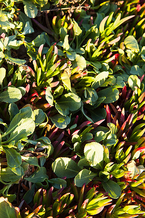 20130309ptreyes-0621