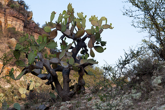 20120416_sanmiguel_1191