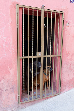 20120415_sanmiguel_1102