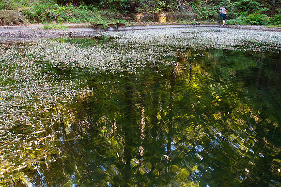 20130615_bennerdaswedding-4520