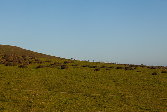 20130309ptreyes-0638