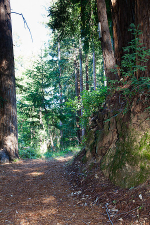 20130615_bennerdaswedding-4552