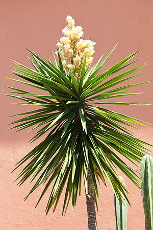 20120415_sanmiguel_1021