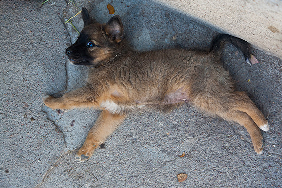 20120416_sanmiguel_1133