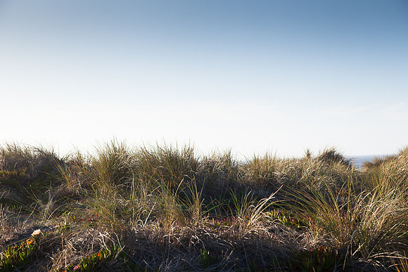 20130309ptreyes-0614