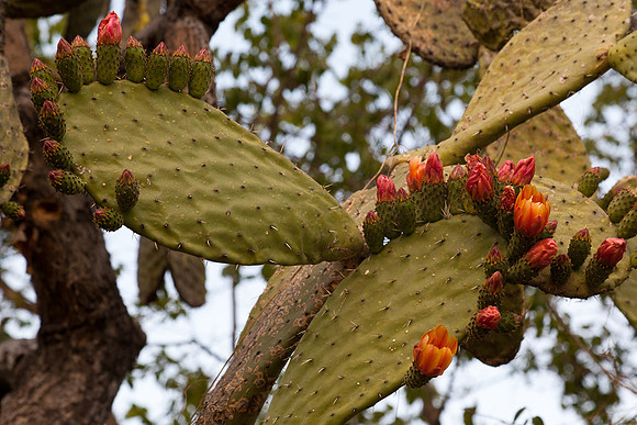 20120416_sanmiguel_1261