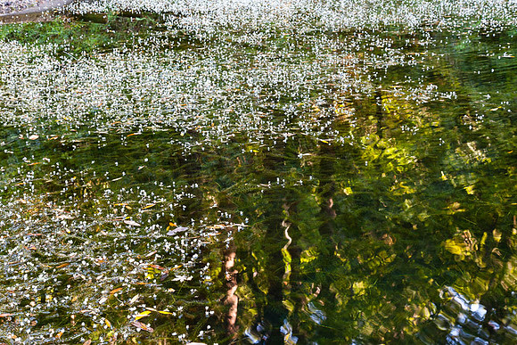 20130615_bennerdaswedding-4528