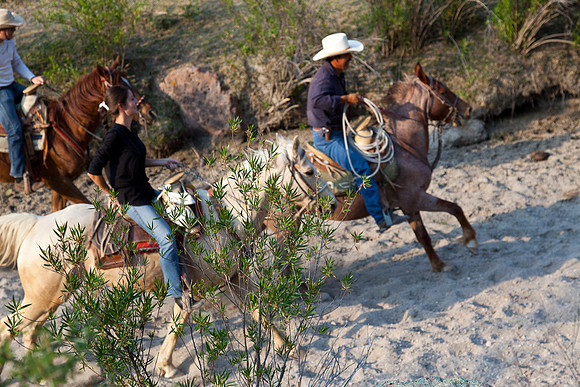 20120416_sanmiguel_1210