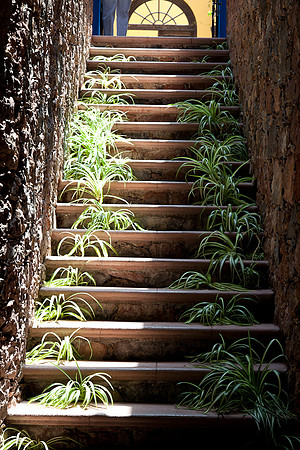 20120415_sanmiguel_1022