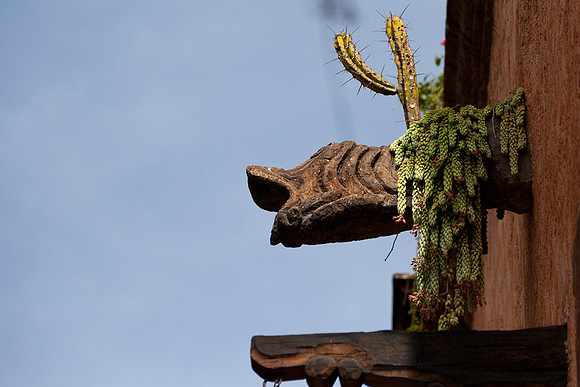 20120415_sanmiguel_1098